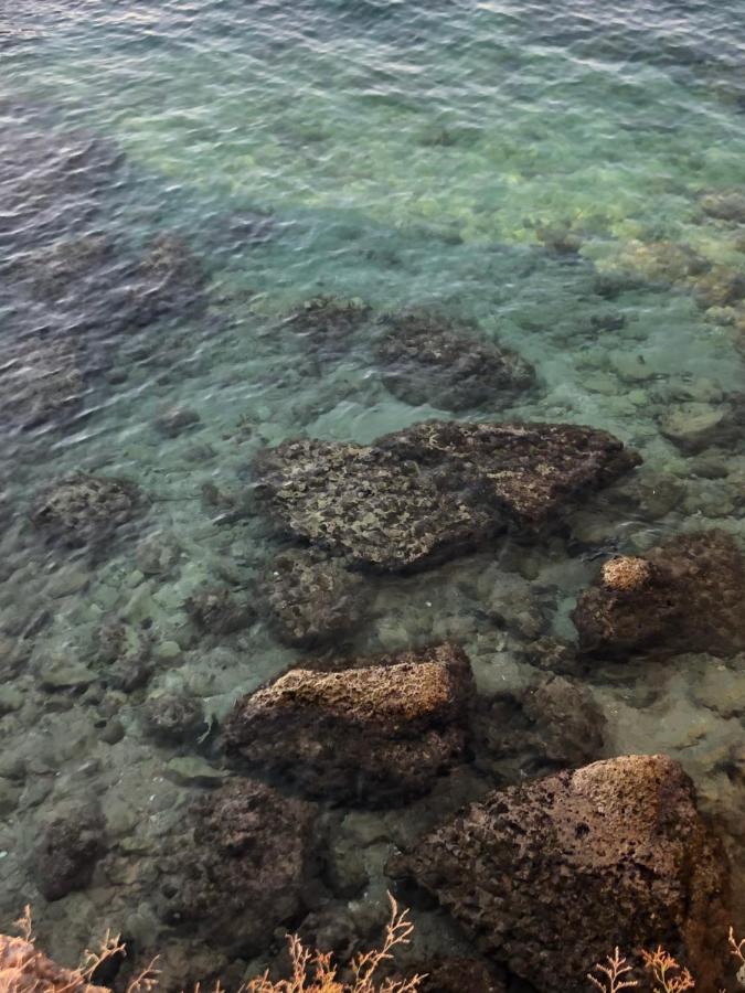 Casa Vacanze Antiche Mura E Poi مونوبولي المظهر الخارجي الصورة